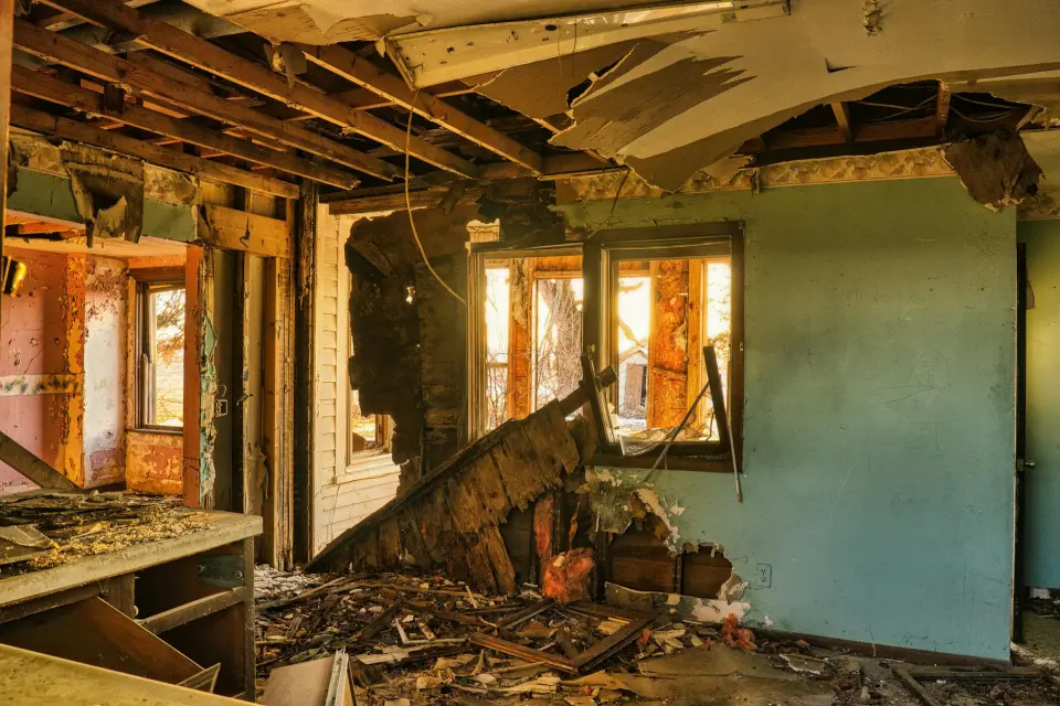Safespace Mold Removal: Leading Mold Removal Company In Columbus — Columbus, GA